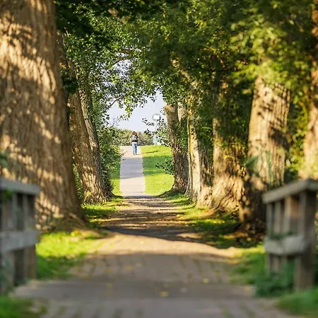 Große Stranddüne - 5 Sterne Mit Balkon