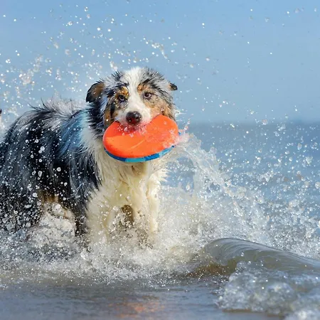 Große Stranddüne - 5 Sterne Mit Balkon *
